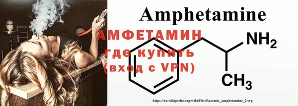 прущие грибы Баксан