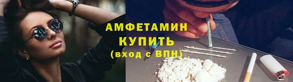 прущие грибы Баксан