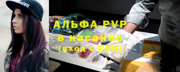 прущие грибы Баксан