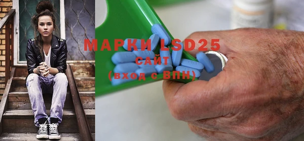 прущие грибы Баксан